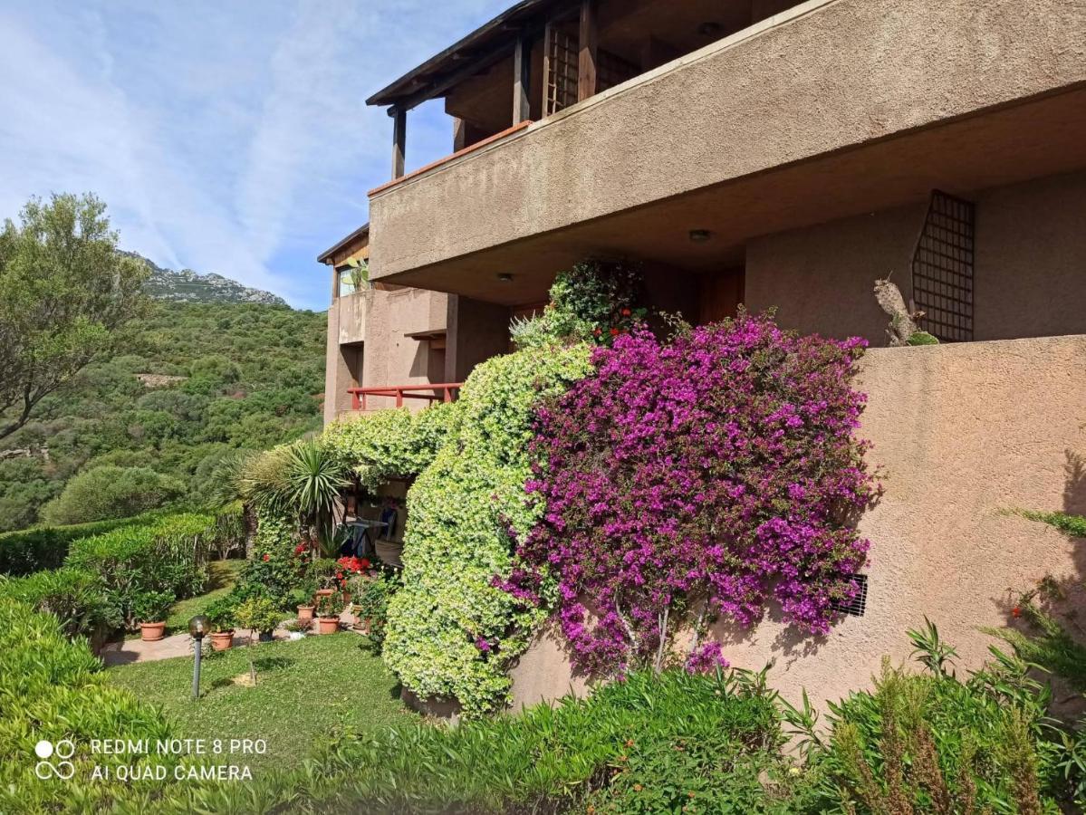 Cugnana Mare Resort Exterior foto